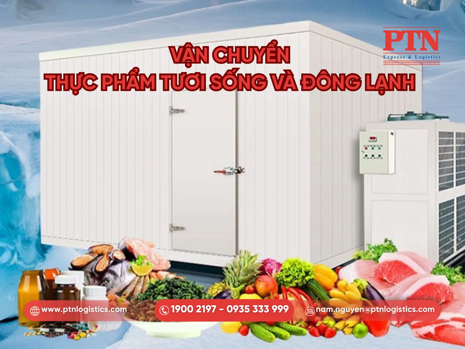 Vận chuyển hàng tươi sống bằng container