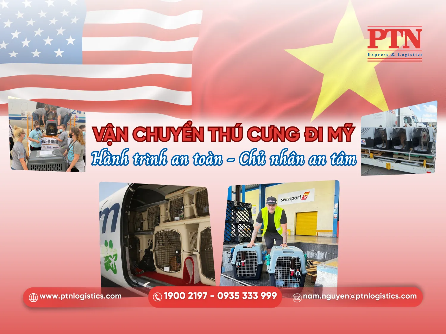 Vận chuyển thú cưng đi Mỹ an toàn và hiệu quả