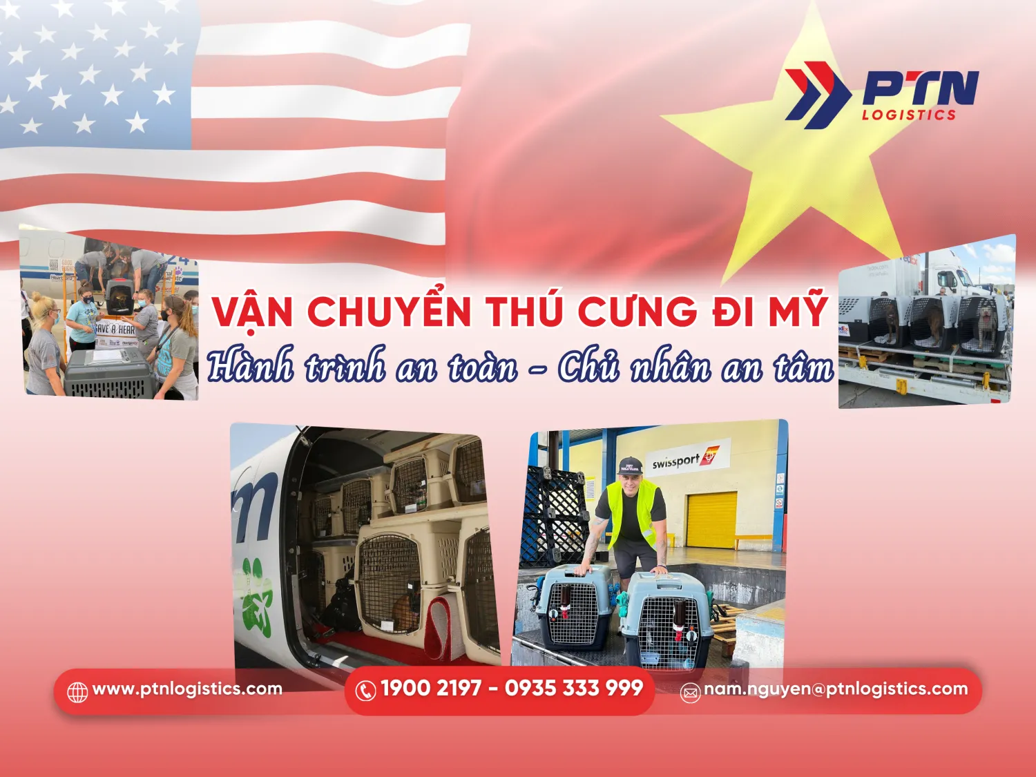 Vận chuyển thú cưng đi Mỹ
