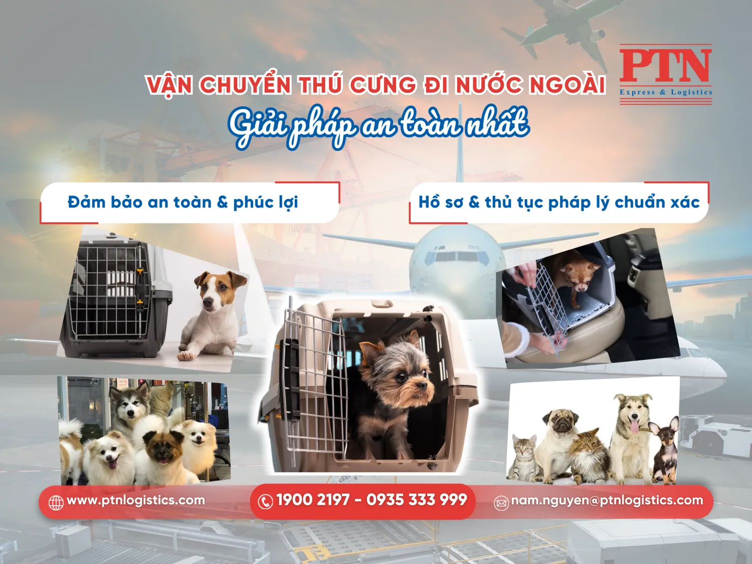 Vận chuyển thú cưng đi nước ngoài