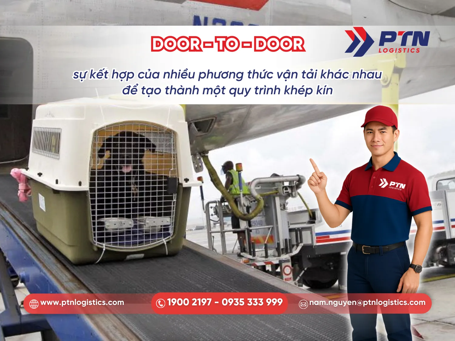 Vận chuyển thú cưng theo dịch vụ door-to-door