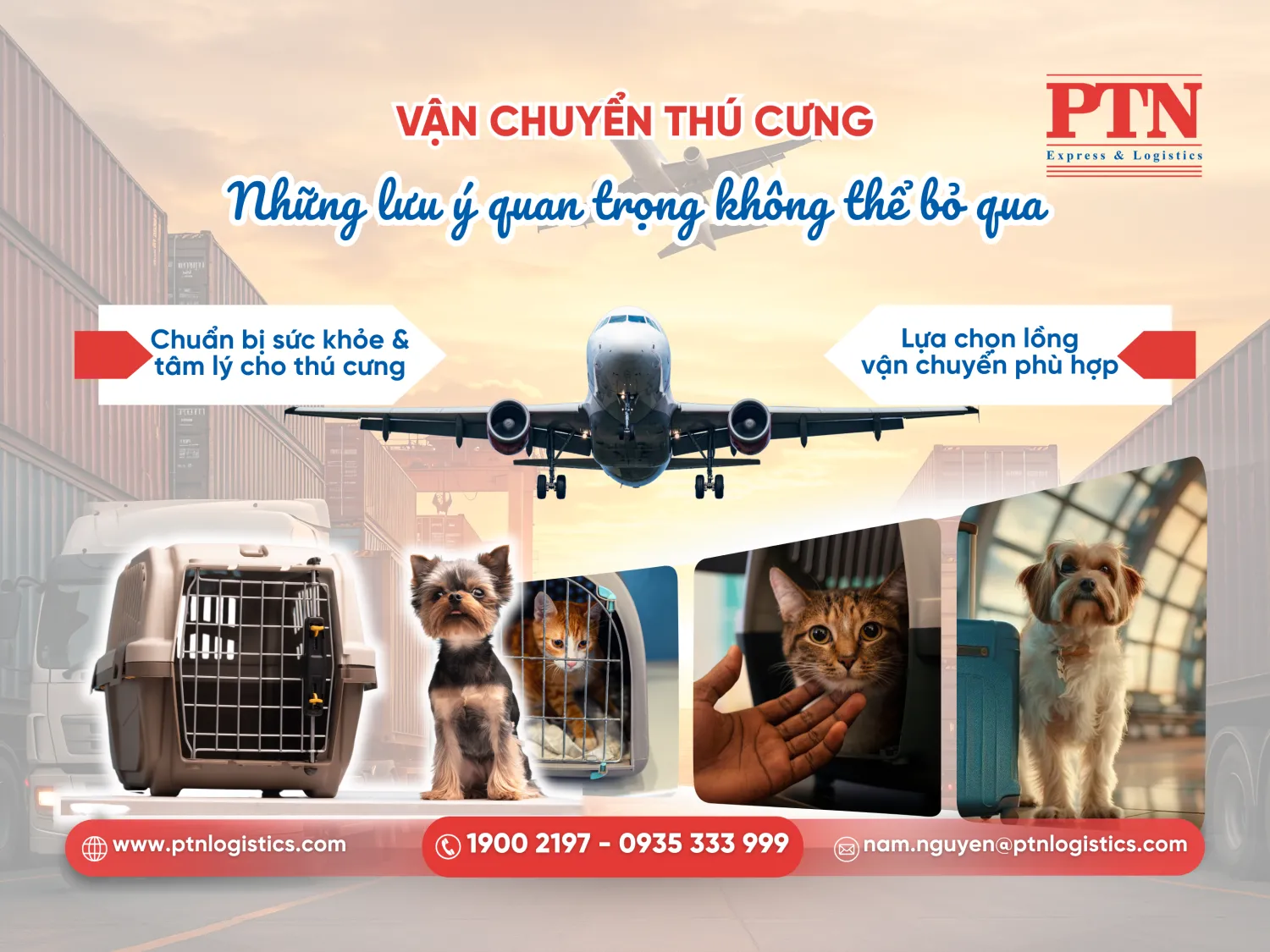 Vận chuyển thú cưng