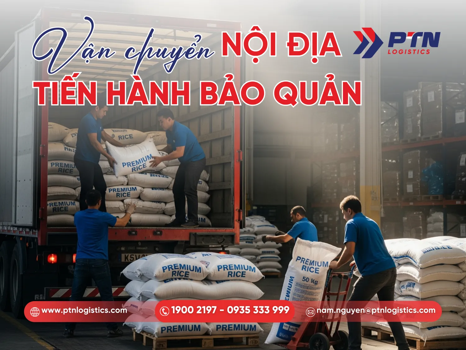 Vận chuyển và đưa về kho bảo quản