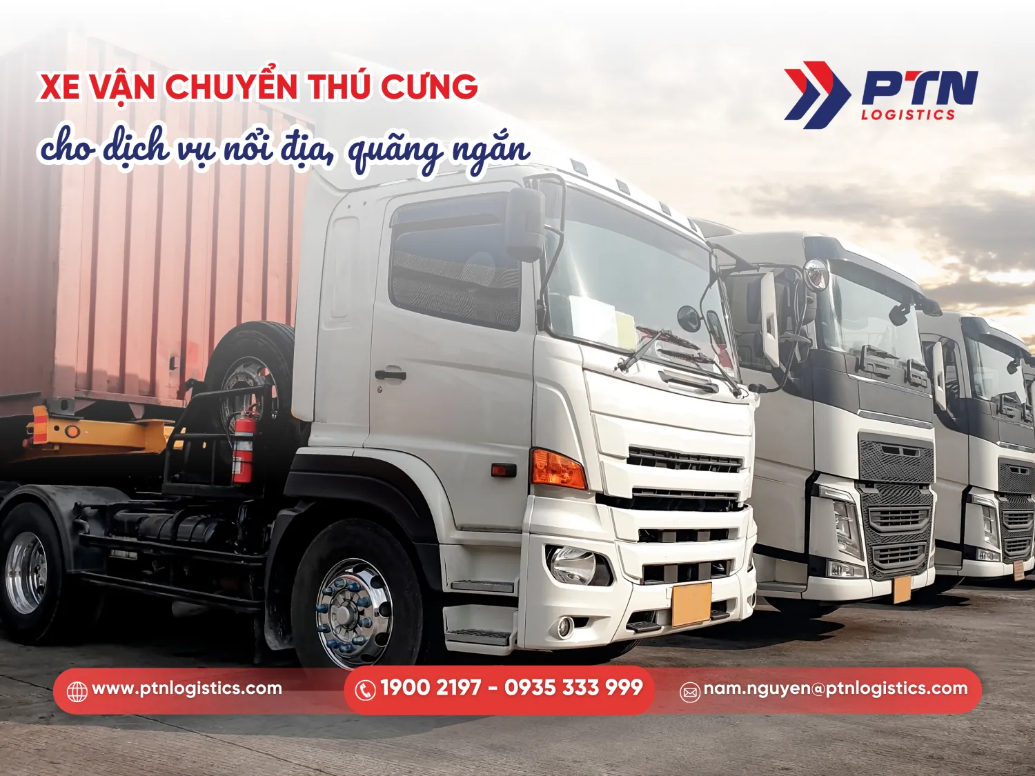 Xe vận chuyển thú cưng chuyên dụng