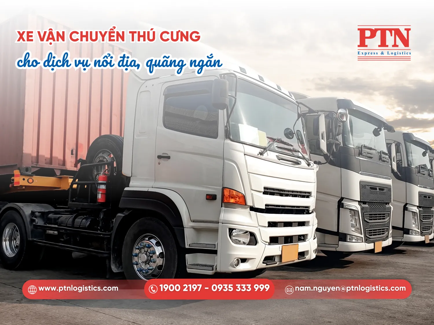 Xe vận chuyển thú cưng