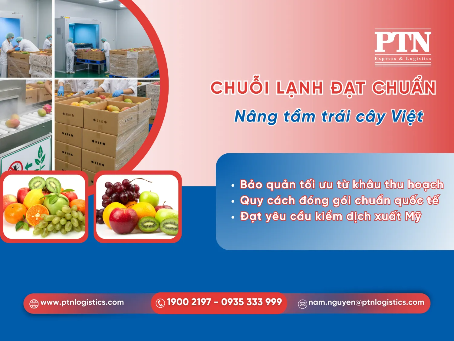 Bảo quản trái cây gửi đi Mỹ