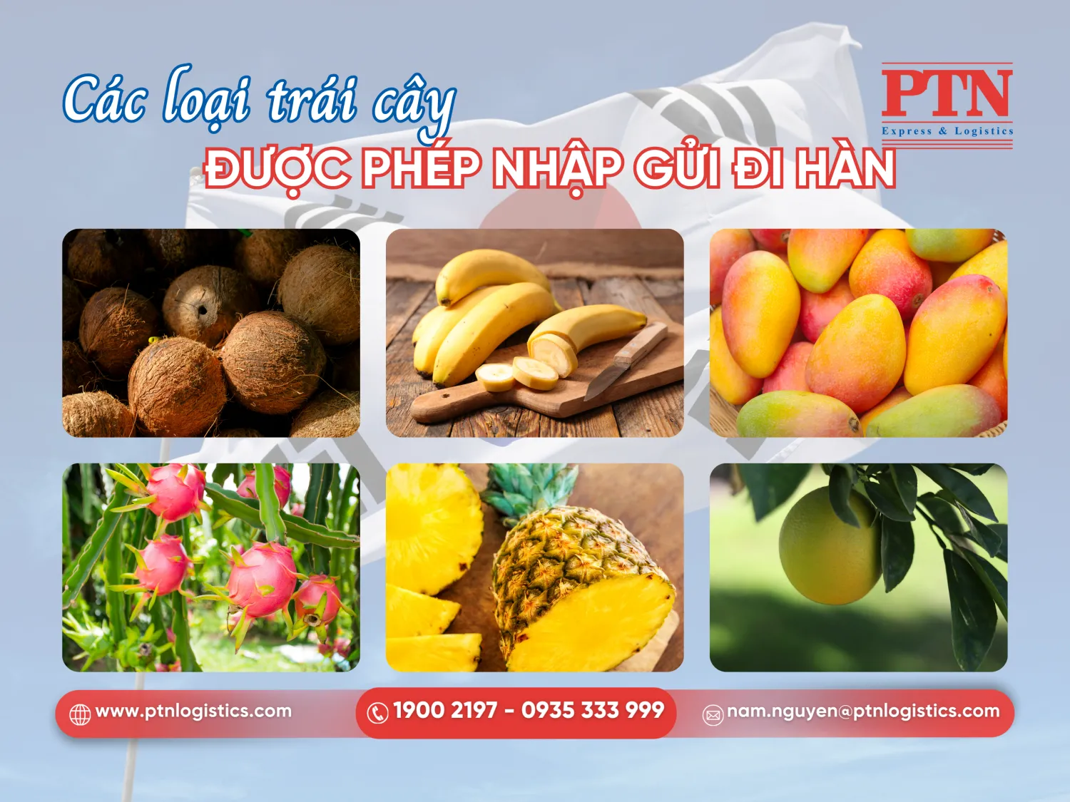 Các loại trái cây được nhập khẩu vào Hàn Quốc