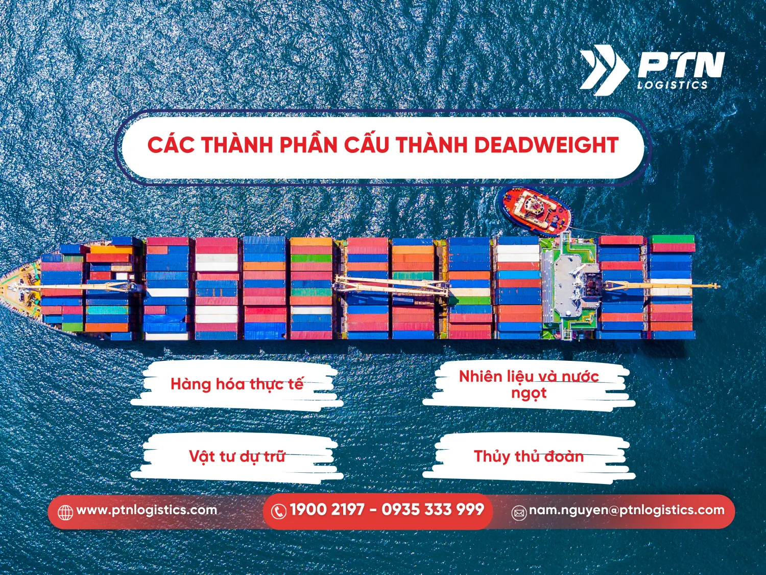 Các thành phần cấu thành DWT