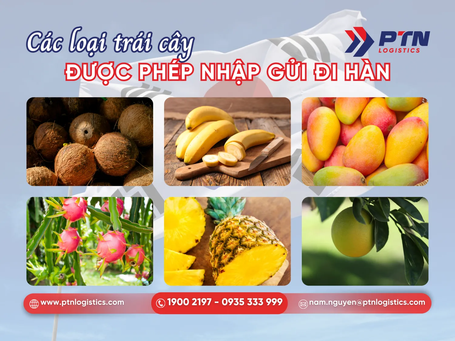 Các trái cây được nhập khẩu vào Hàn Quốc