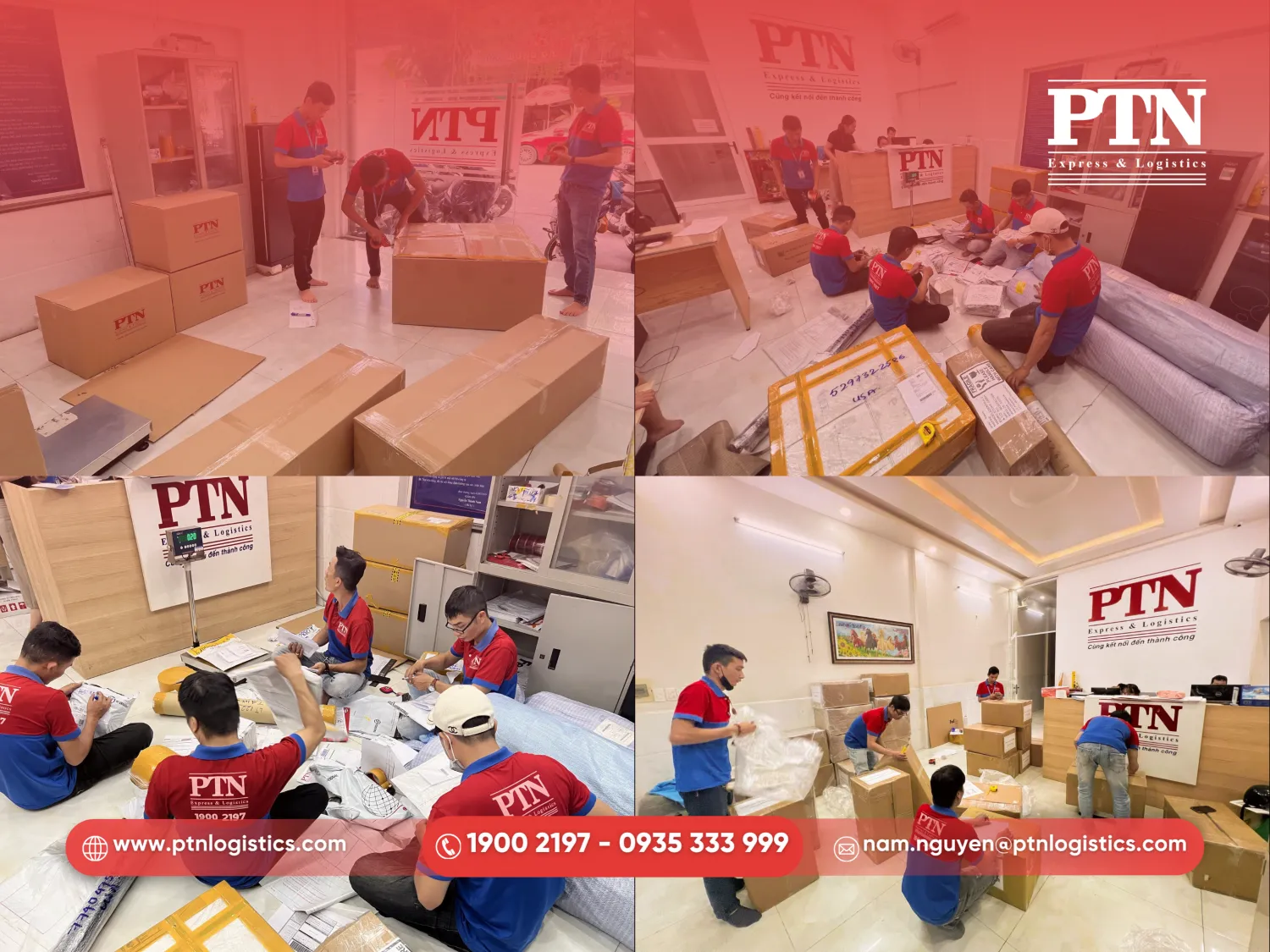 Dịch vụ chuyên nghiệp tại PTN