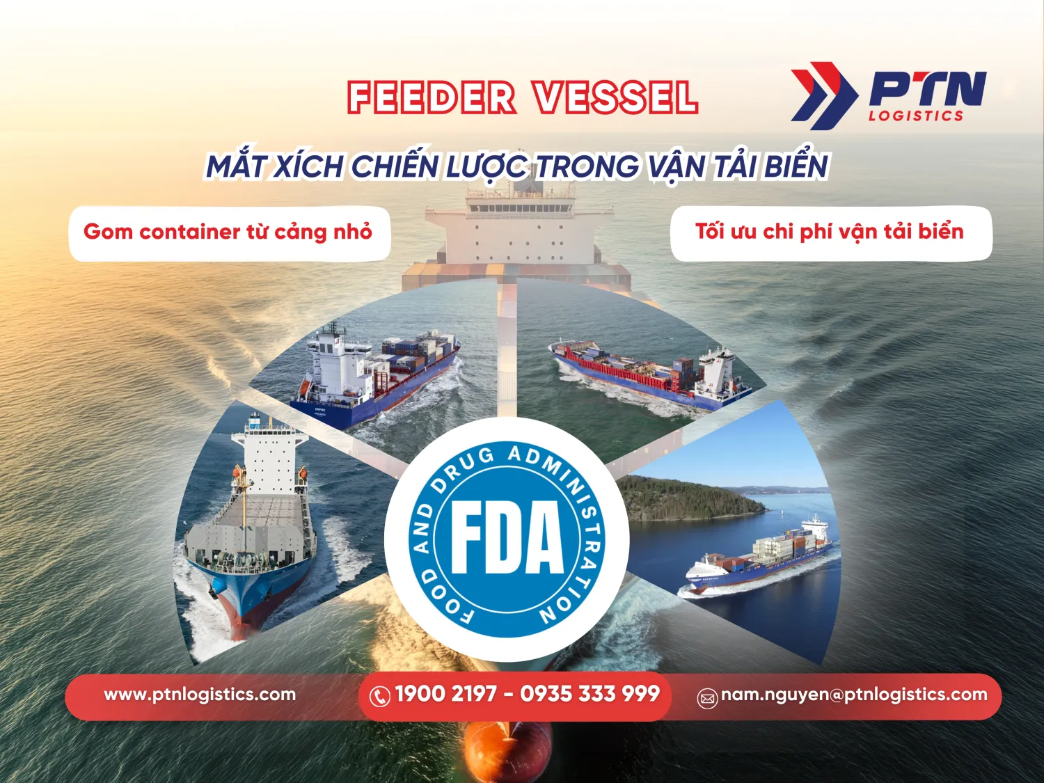 Feeder vessel là gì? Mắt xích chiến lược trong vận tải biển
