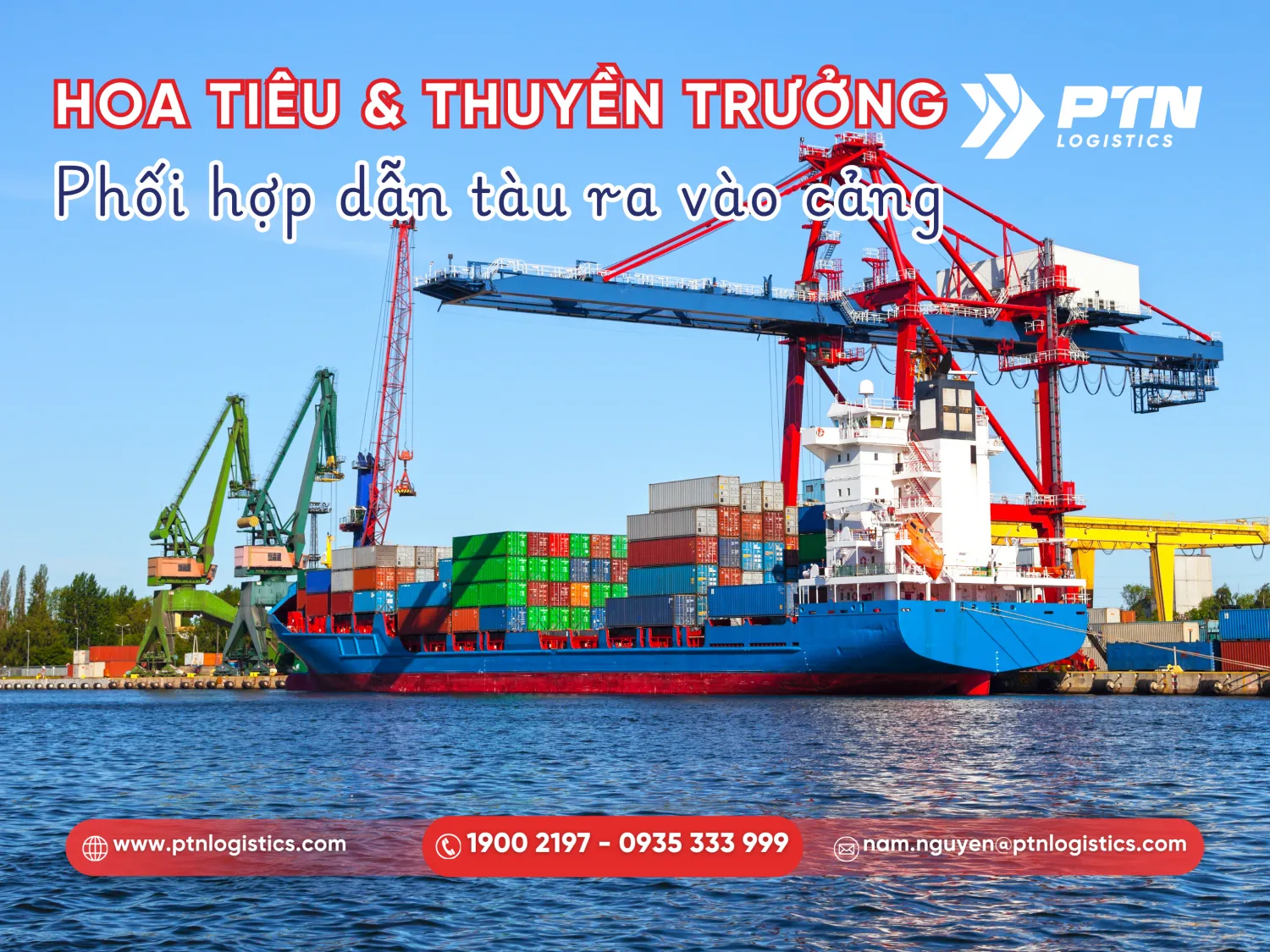 Hoa tiêu dẫn tàu ra vào cảng