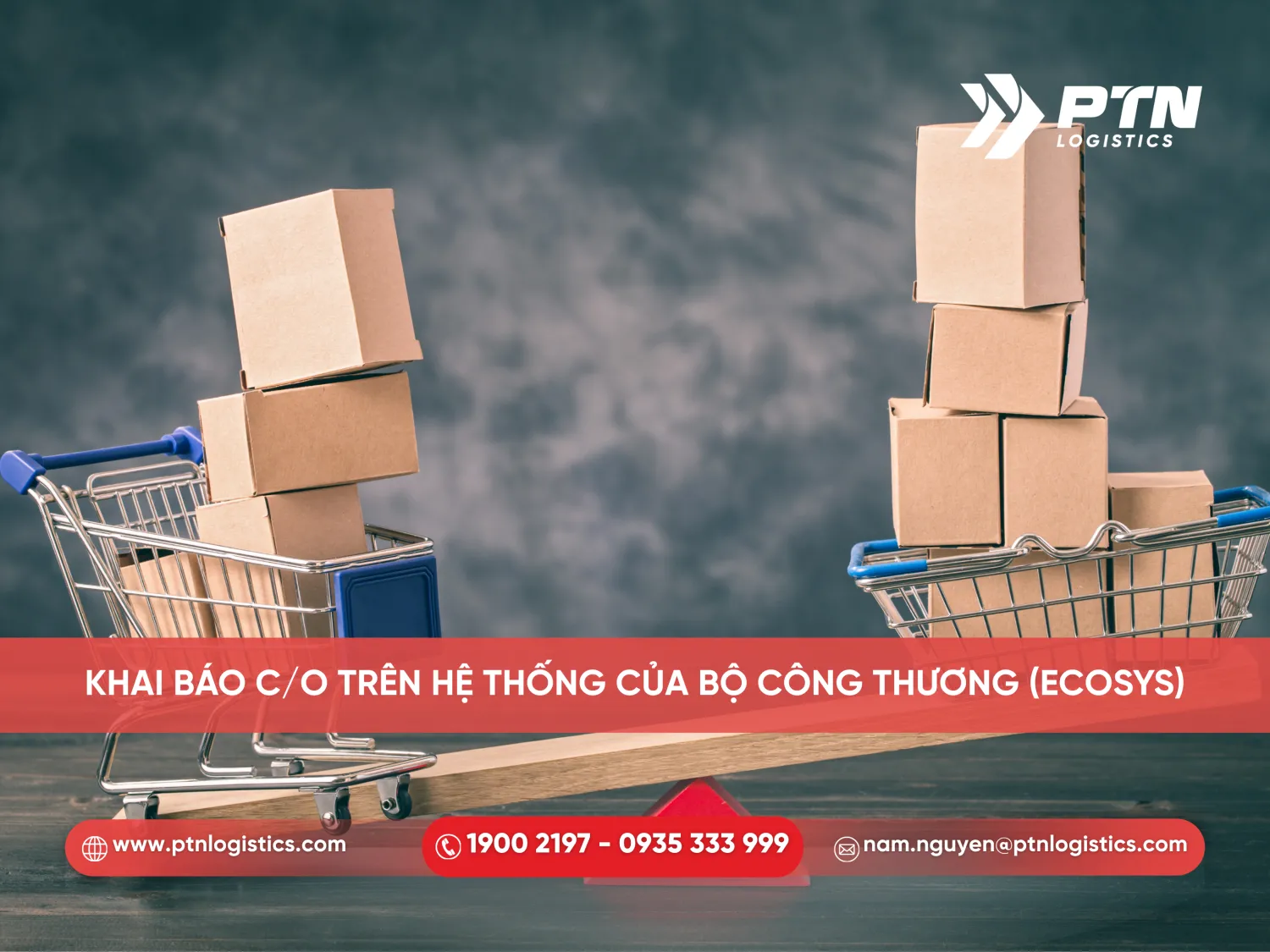 Khai báo C/O trên hệ thống