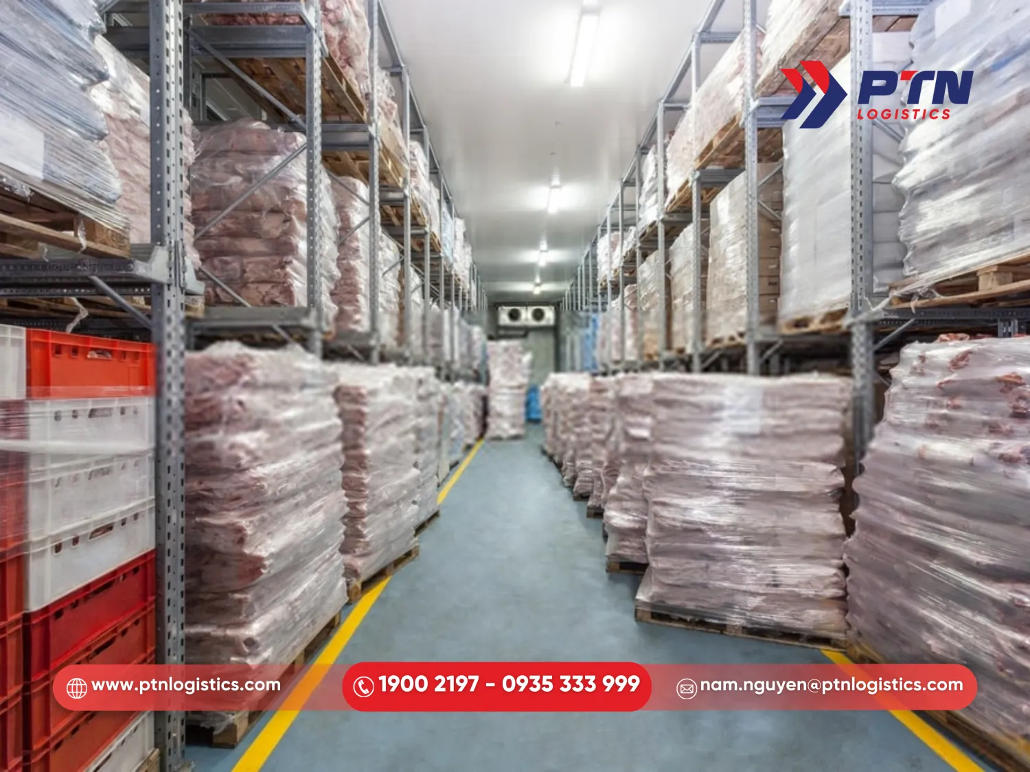 Kỹ thuật đóng gói cho hàng hóa đông lạnh