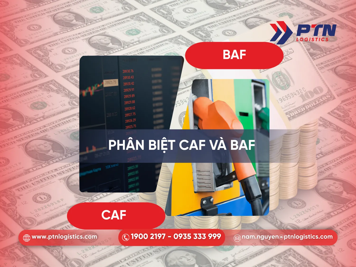 Phân biệt giữa CAF và BAF