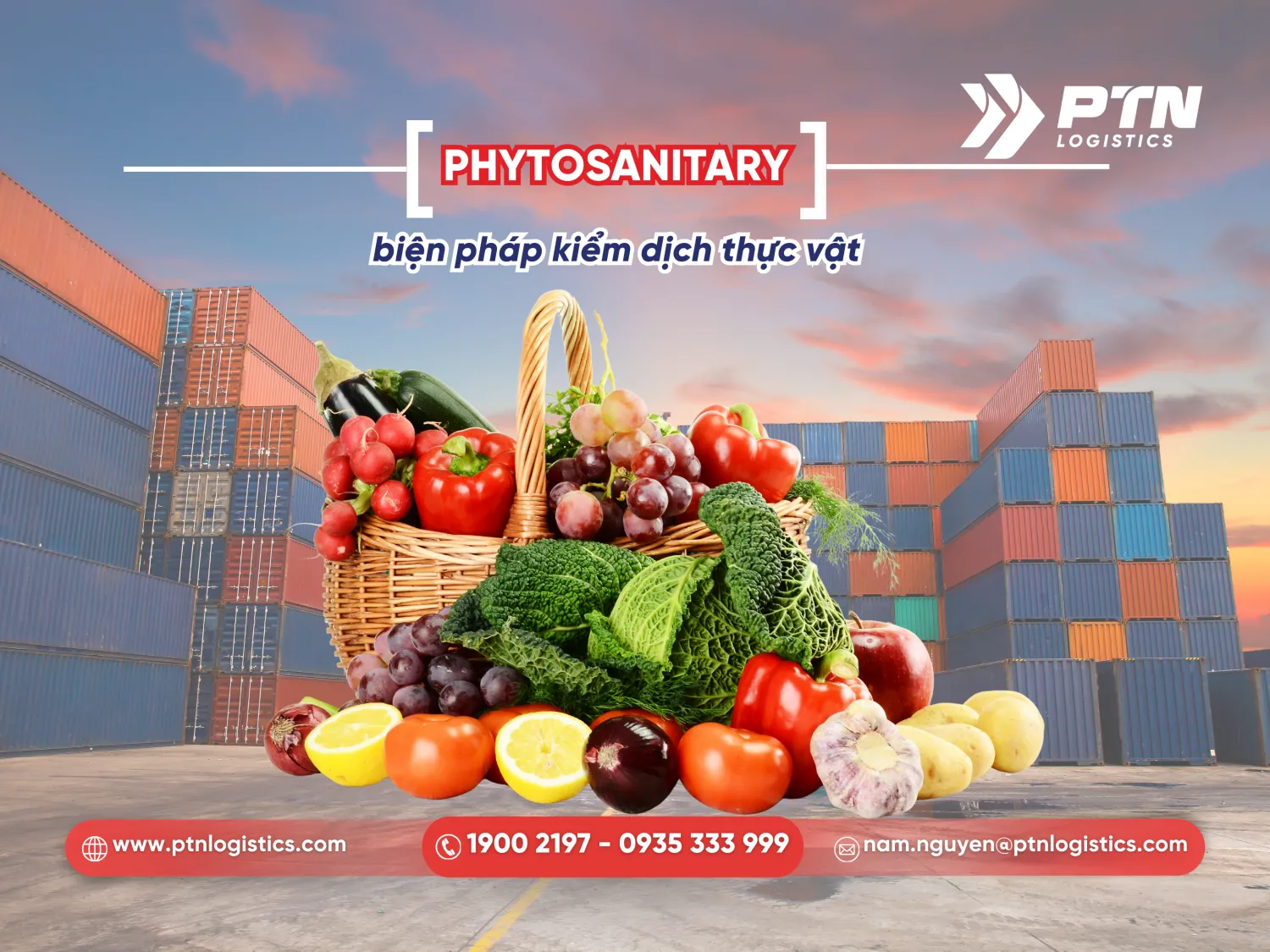 Phytosanitary biện pháp kiểm dịch thực vật