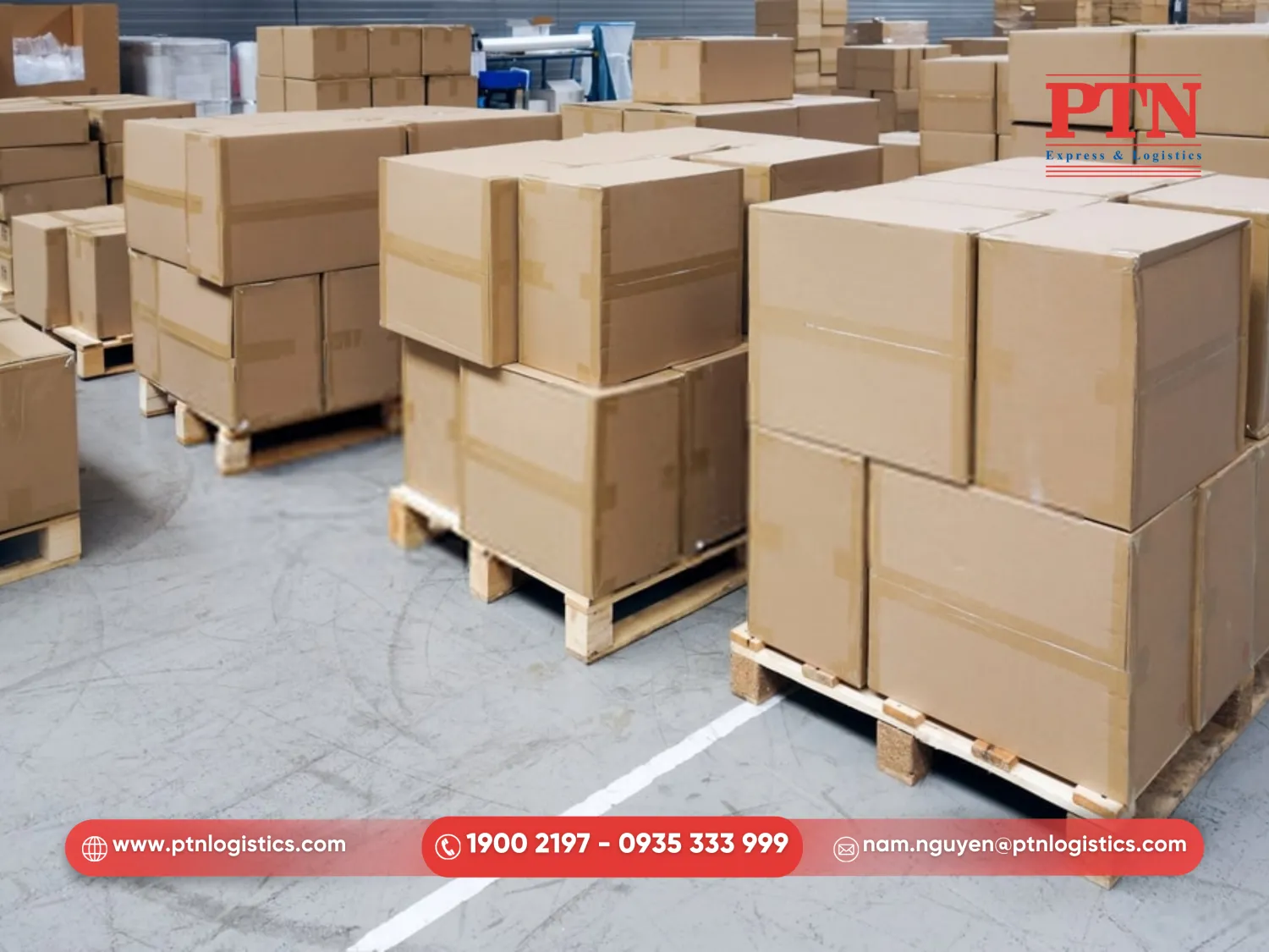 PTN đóng gói hàng thực phẩm chuyên nghiệp