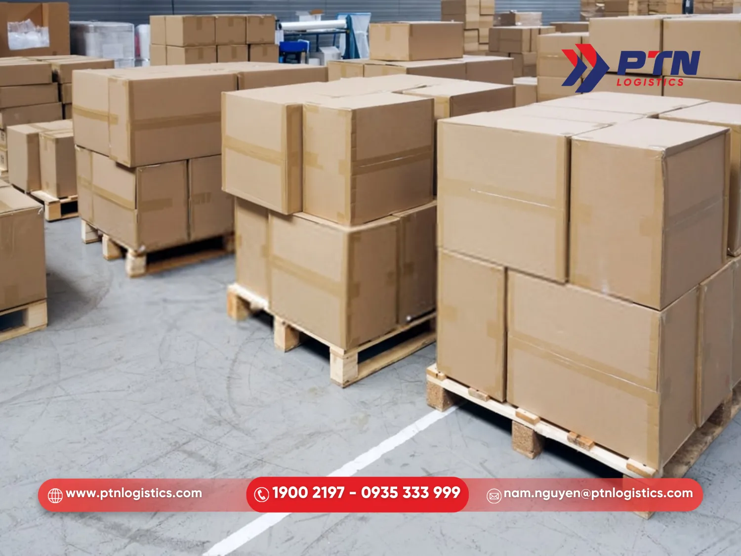 PTN Logistics đóng gói hàng thực phẩm chuyên nghiệp