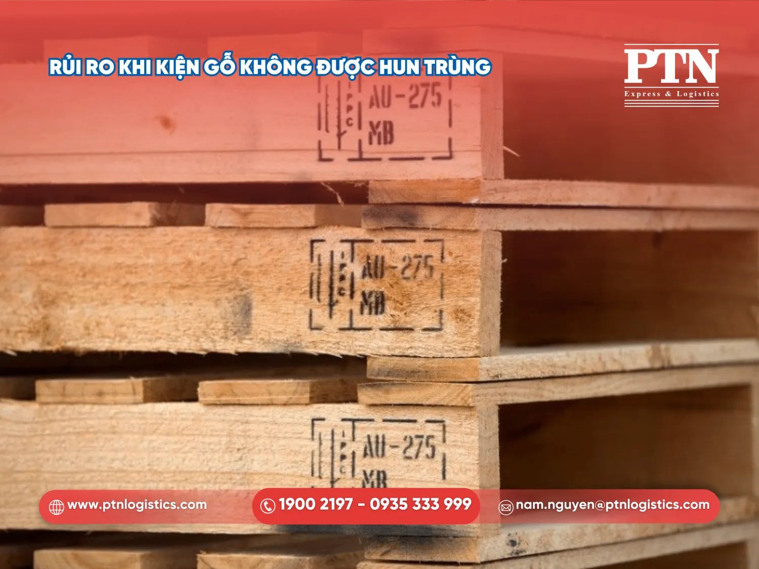 Rủi ro khi kiện gỗ không được hun trùng