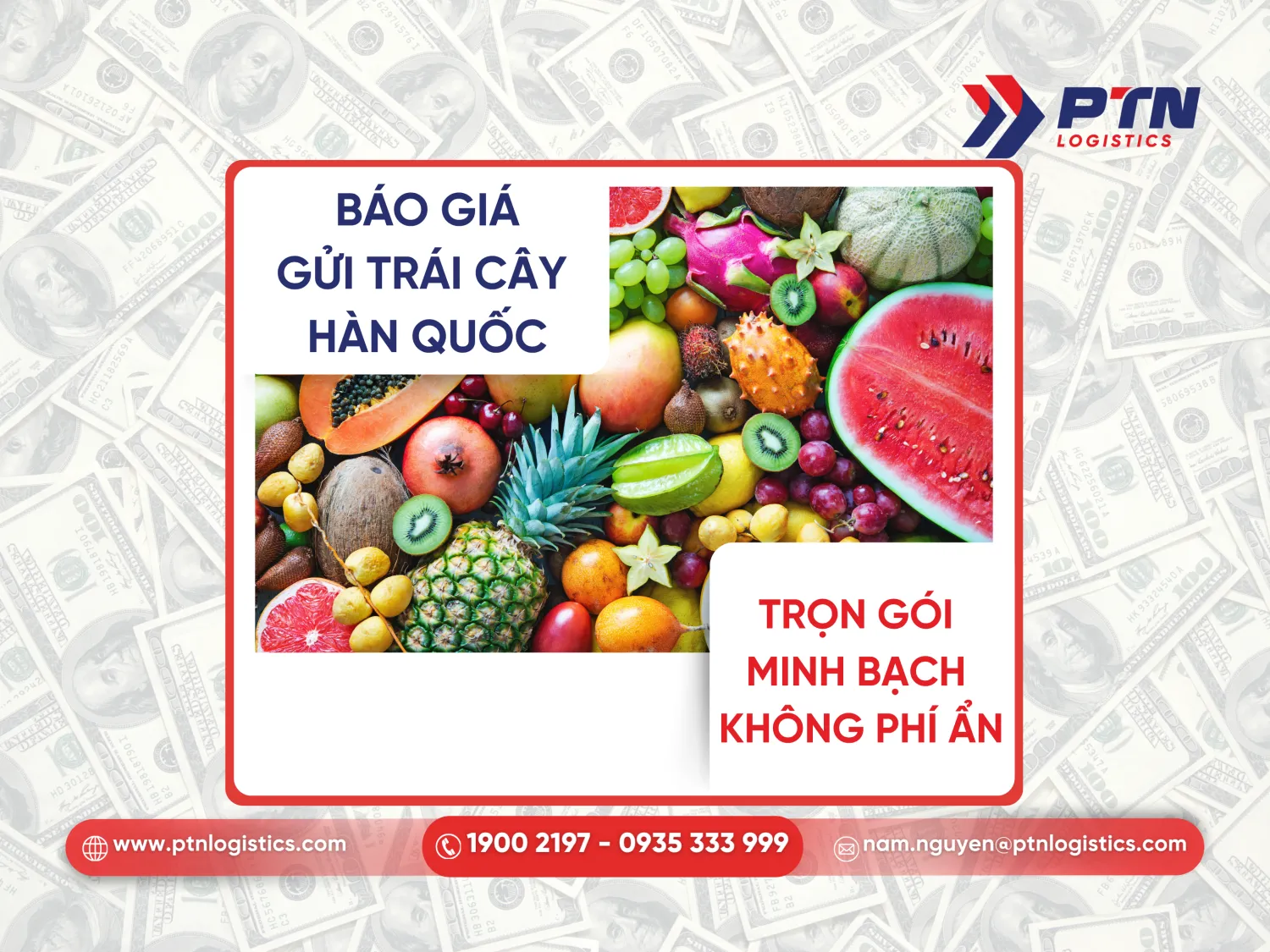 Tiến hành nhận báo giá