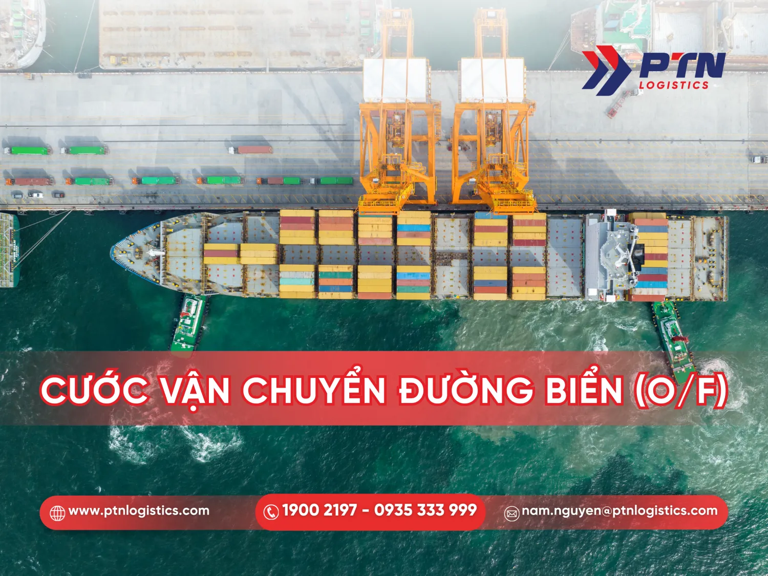 Tìm hiểu chi tiết về Ocean Freight