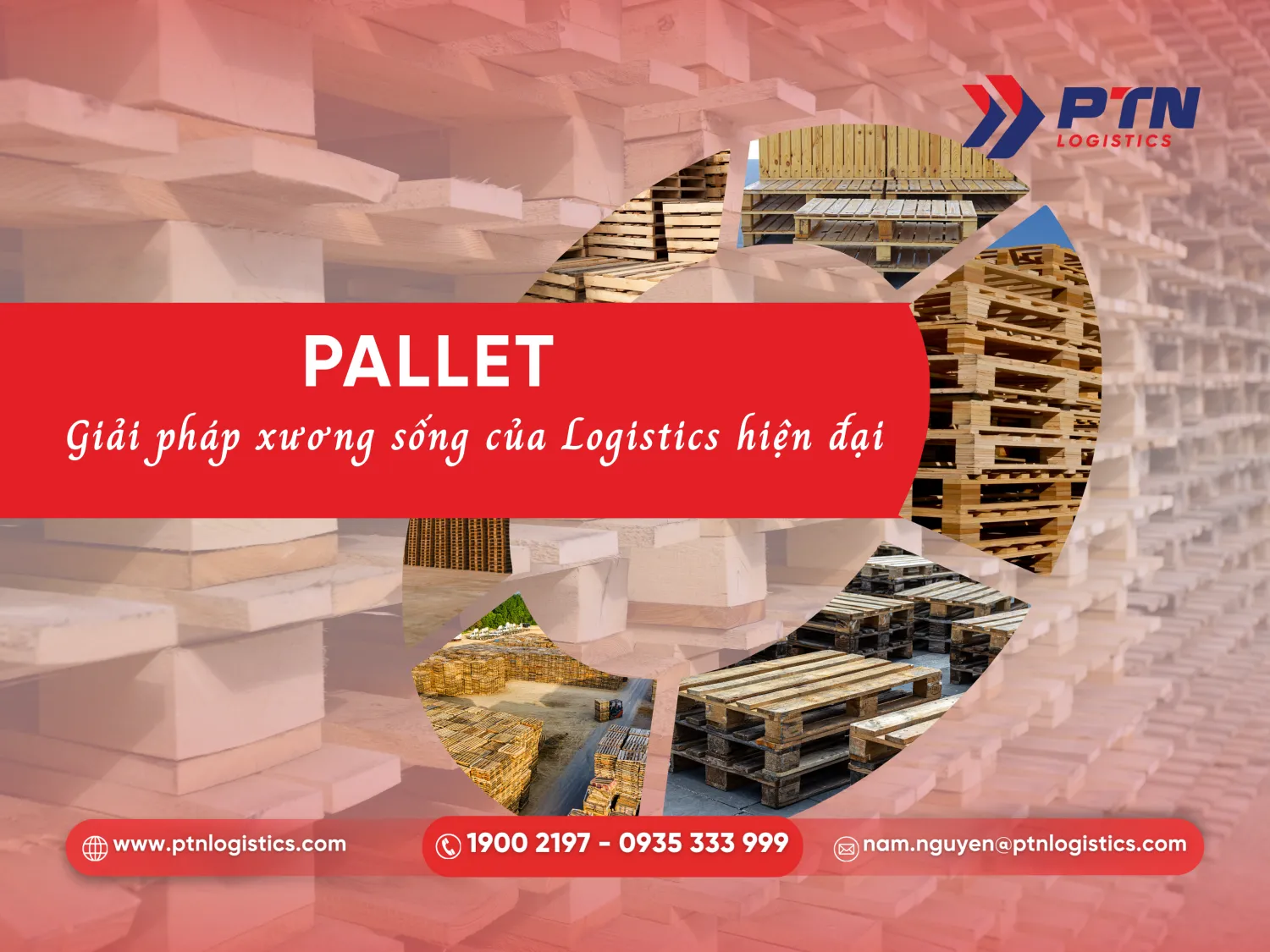 Tìm hiểu pallet là gì trong xnk