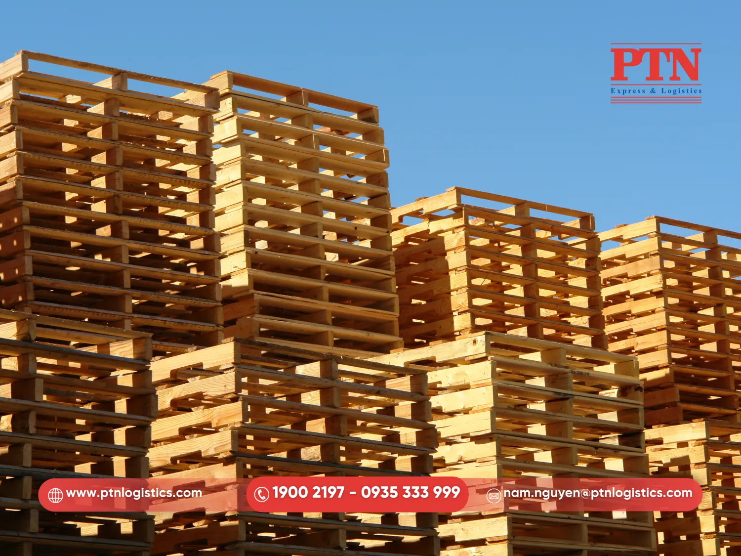Tìm hiểu pallet là gì?