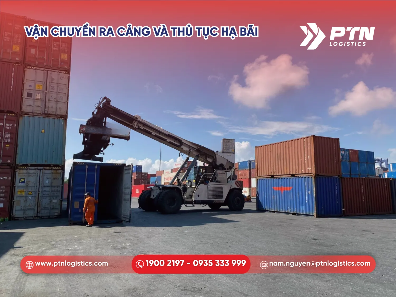 Vận chuyển ra cảng và thủ tục hạ bãi