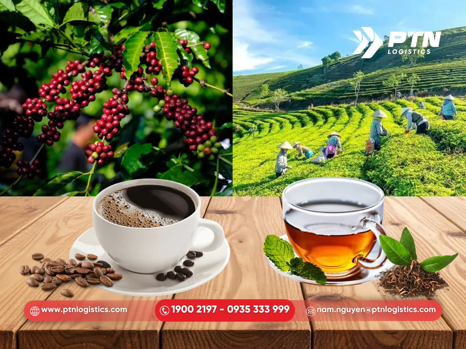 Cà phê và trà làm quà gửi đi Mỹ từ Việt Nam