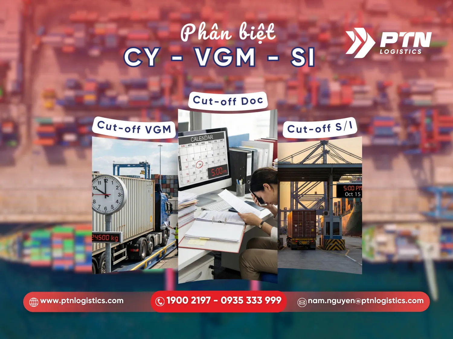Cách phân biệt với các loại cut off khác