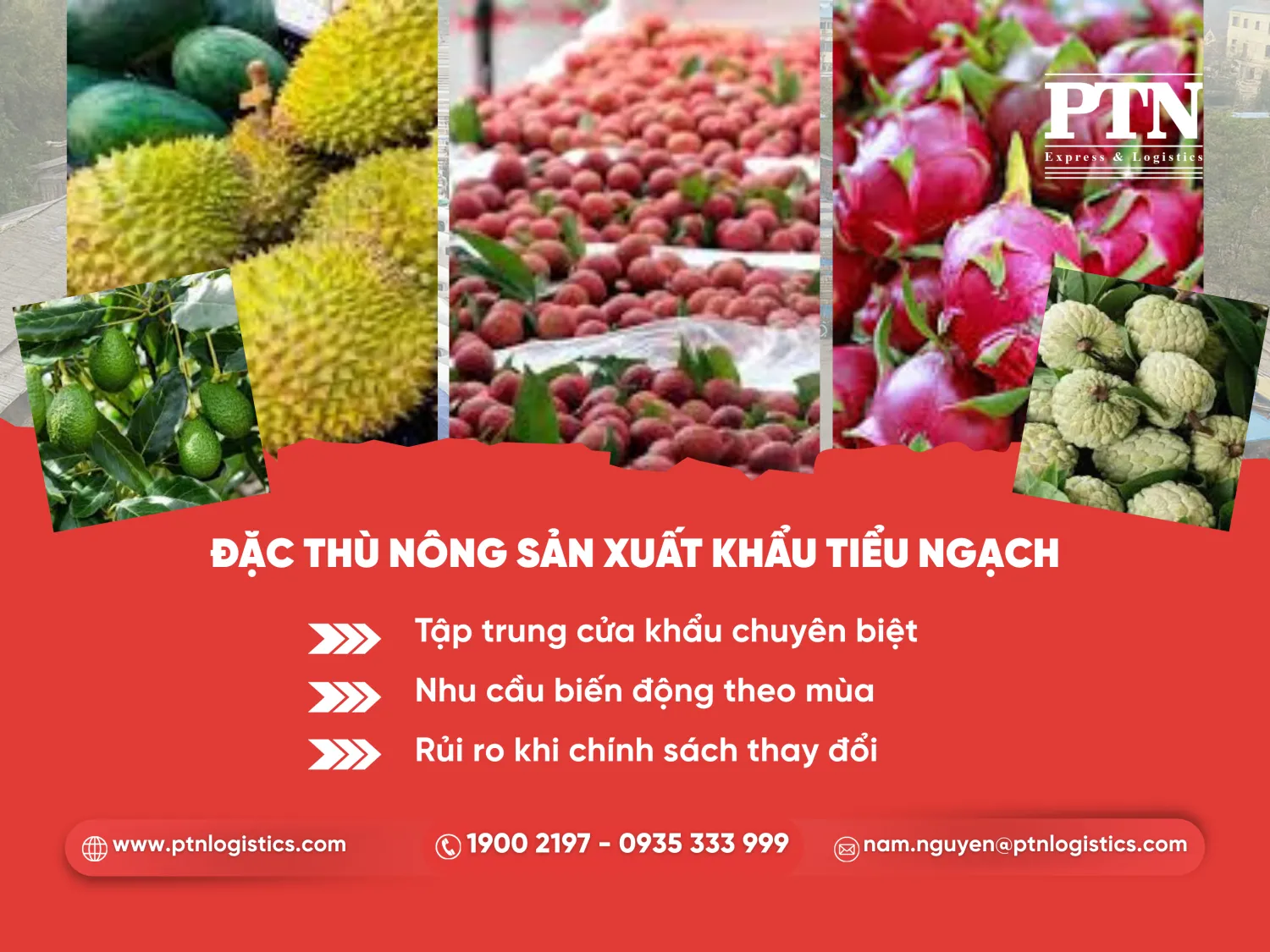 Đặc thù hàng nông sản xuất khẩu tiểu ngạch