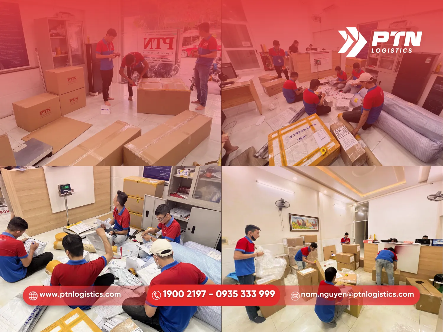 Dịch vụ chuyên nghiệp tại PTN Logistics