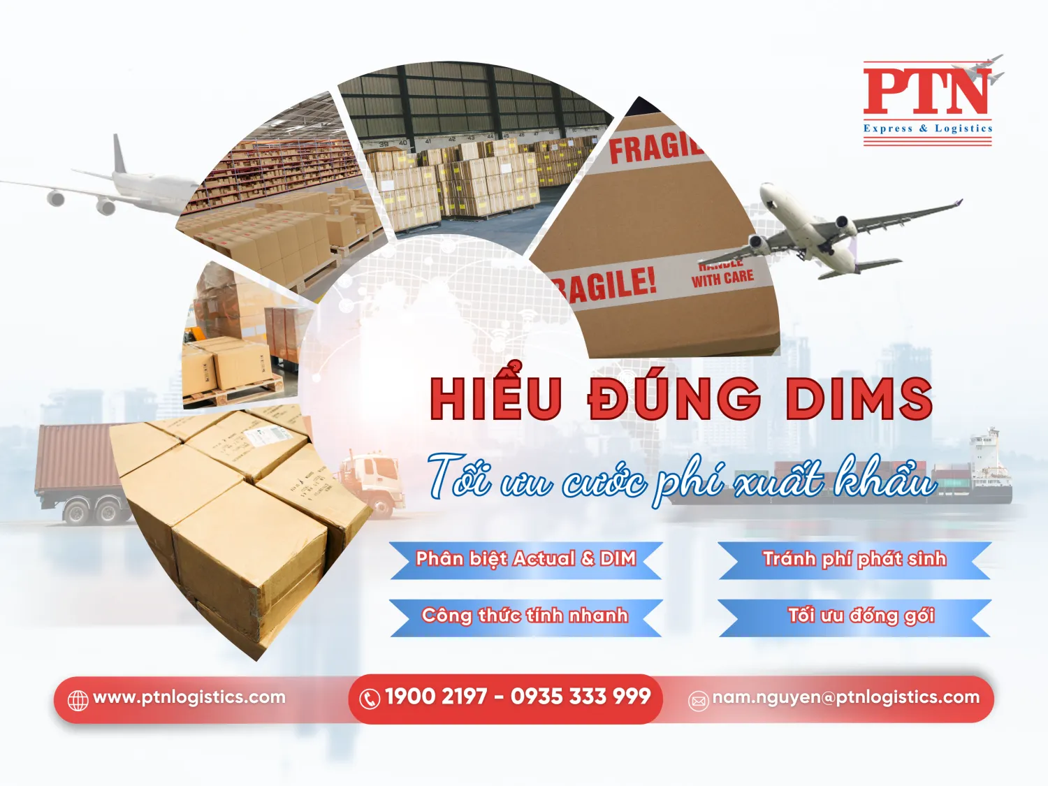 DIMS là gì trong xuất nhập khẩu
