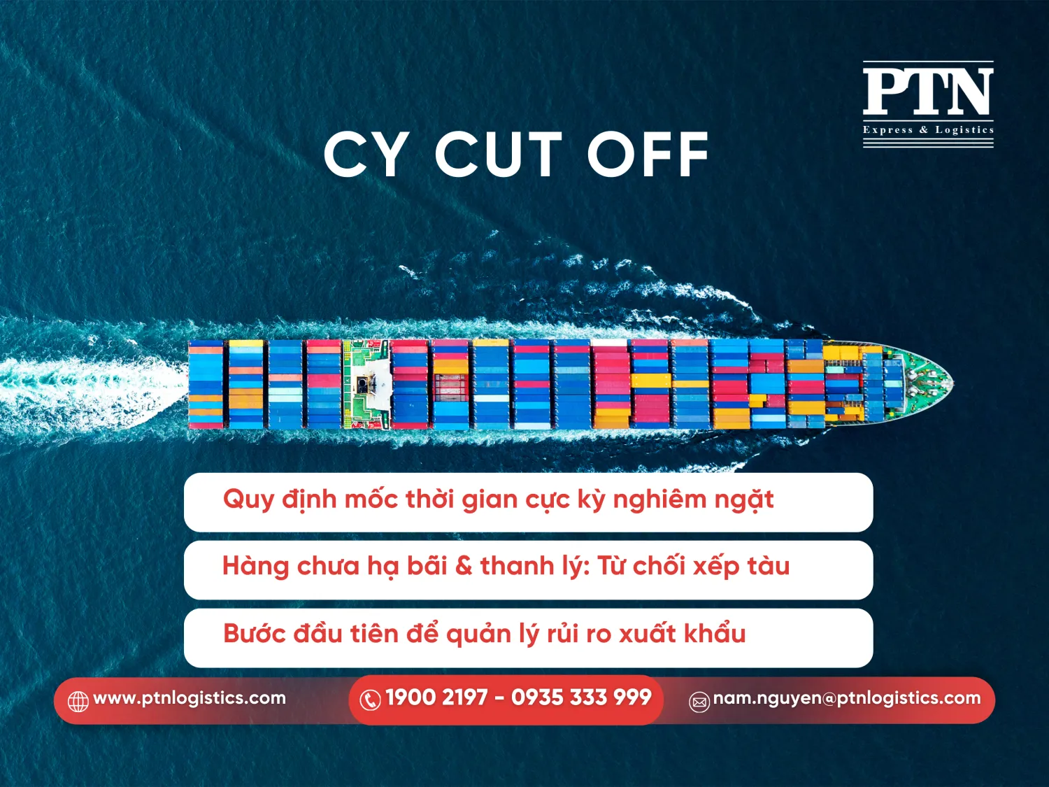 Định nghĩa Cy Cut Offf 