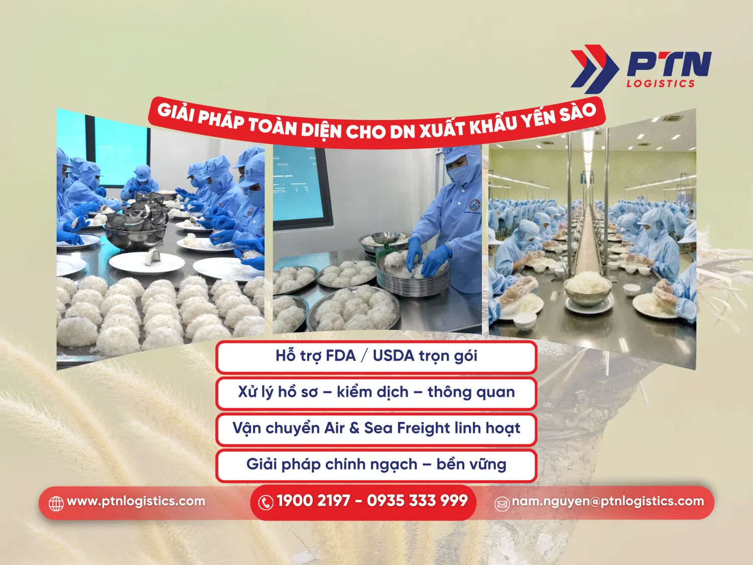 Giải pháp toàn diện cho DN xuất khẩu yến sào