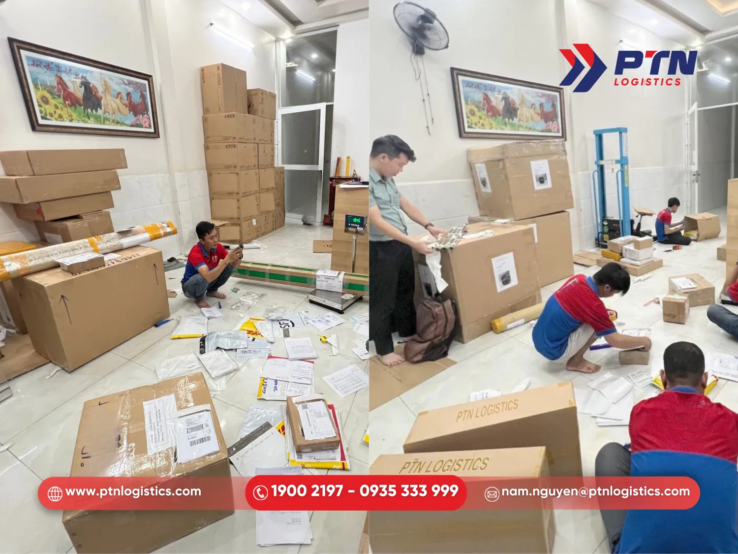 Gửi hàng đi Mỹ từ quận 8 chuyên nghiệp tại PTN Logistics