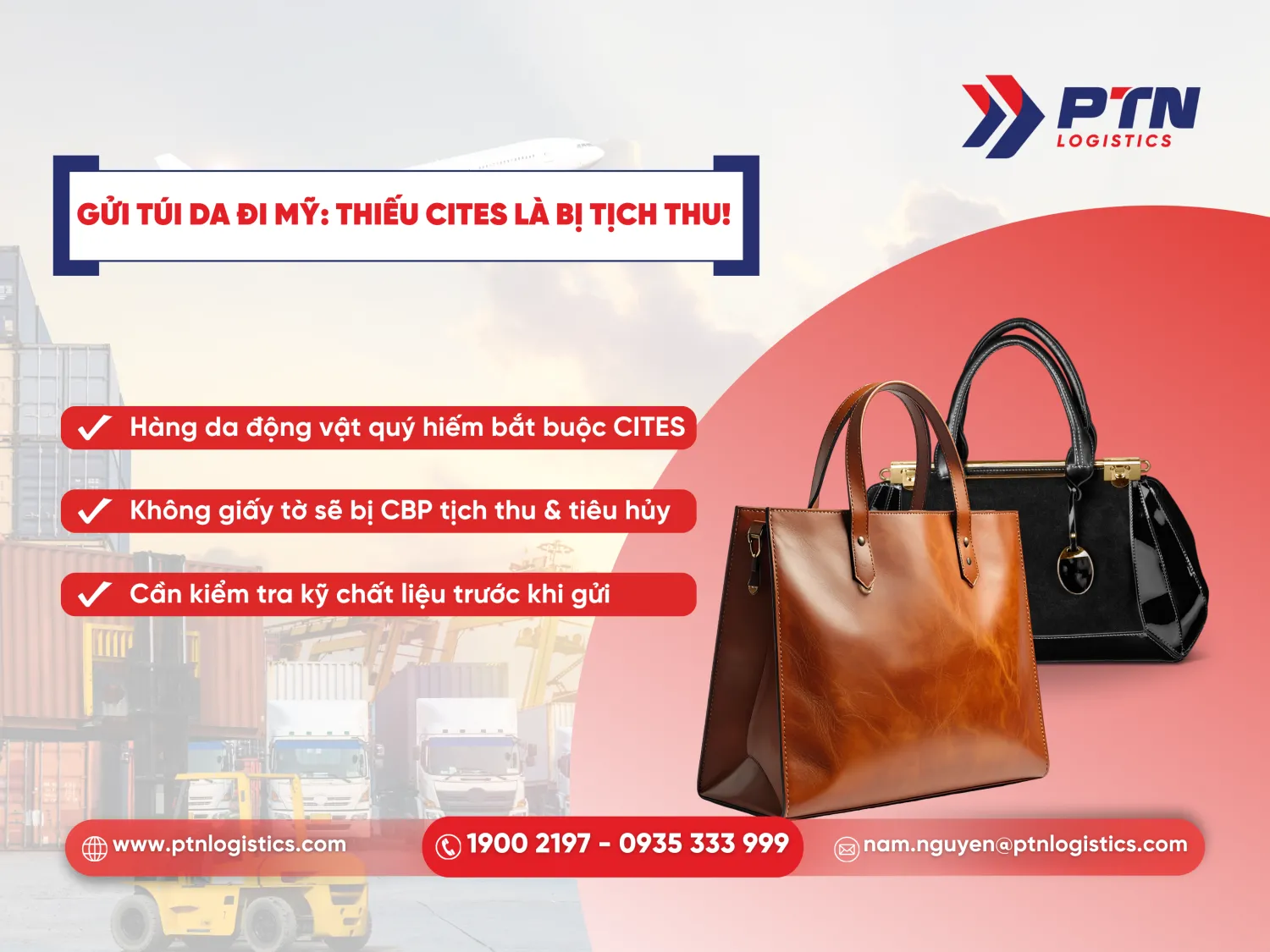 Gửi túi da đi Mỹ thiết cities sẽ bị tịch thu ngay