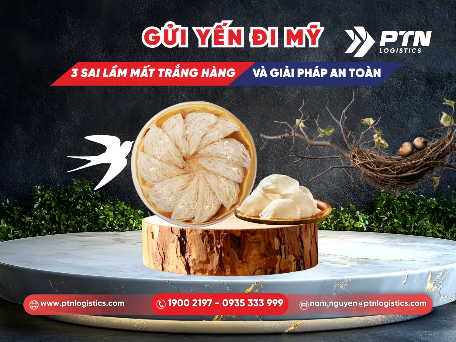 Gửi yến đi Mỹ: 3 sai lầm mất trắng hàng và giải pháp an toàn