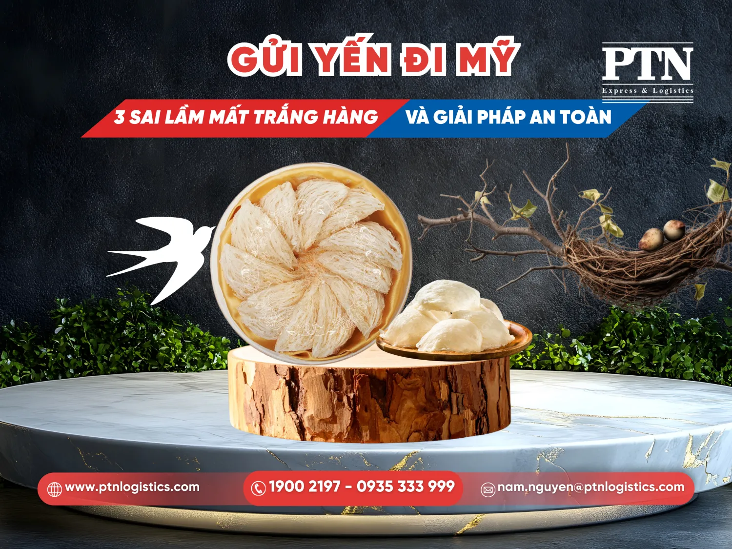 Gửi yến đến Mỹ