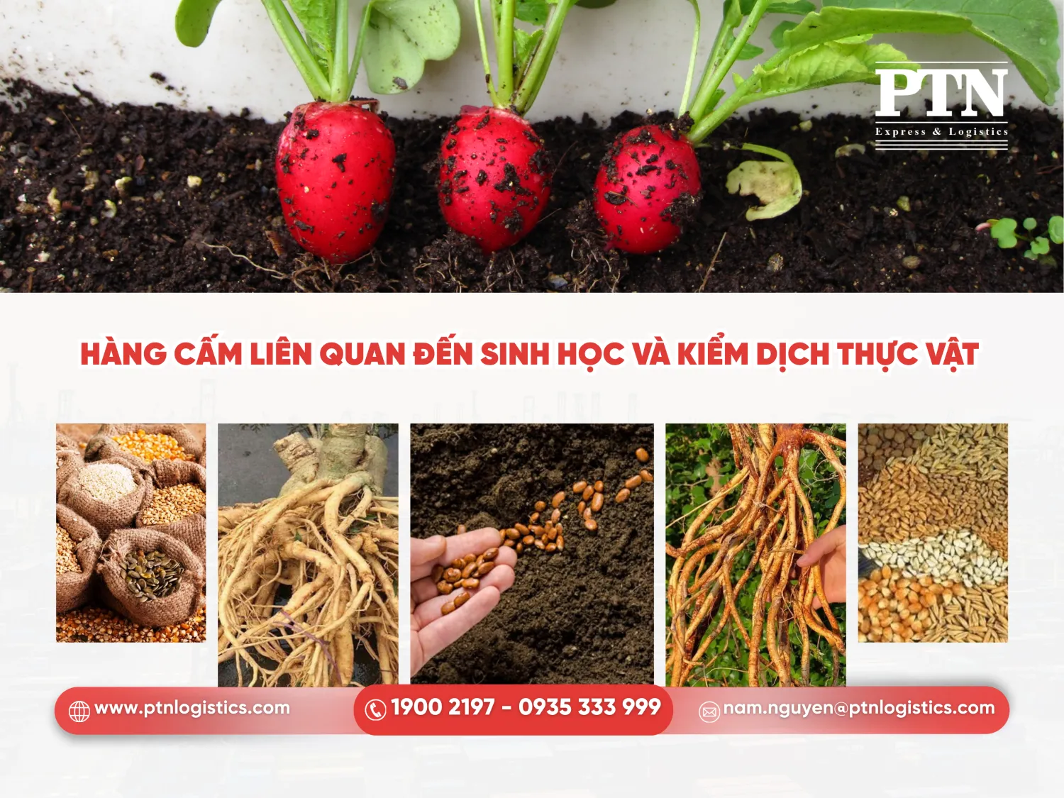 Hàng cấm liên quan đến sinh học và kiểm dịch thực vật