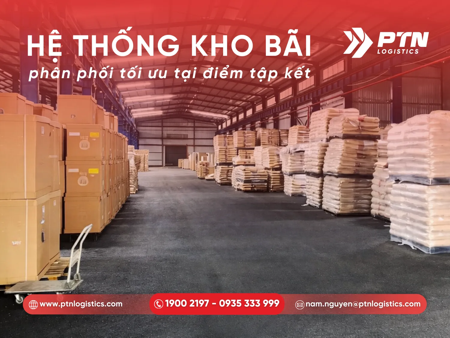 Hệ thống kho bãi và phân hóa tại Bình Dương