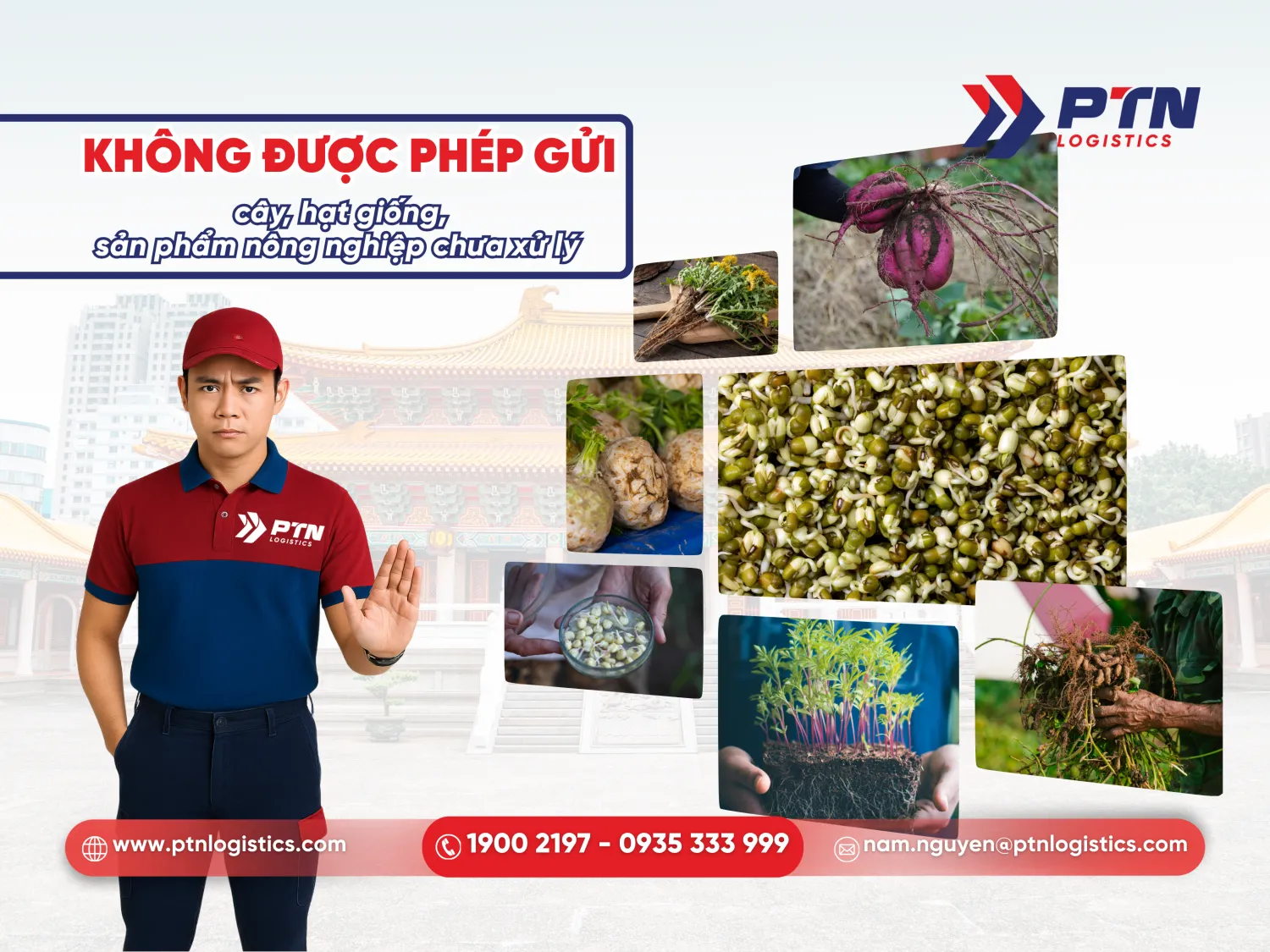 Không được phép gửi các mặt hàng như cây, hạt giống, sản phẩm nông nghiệp chưa xử lý