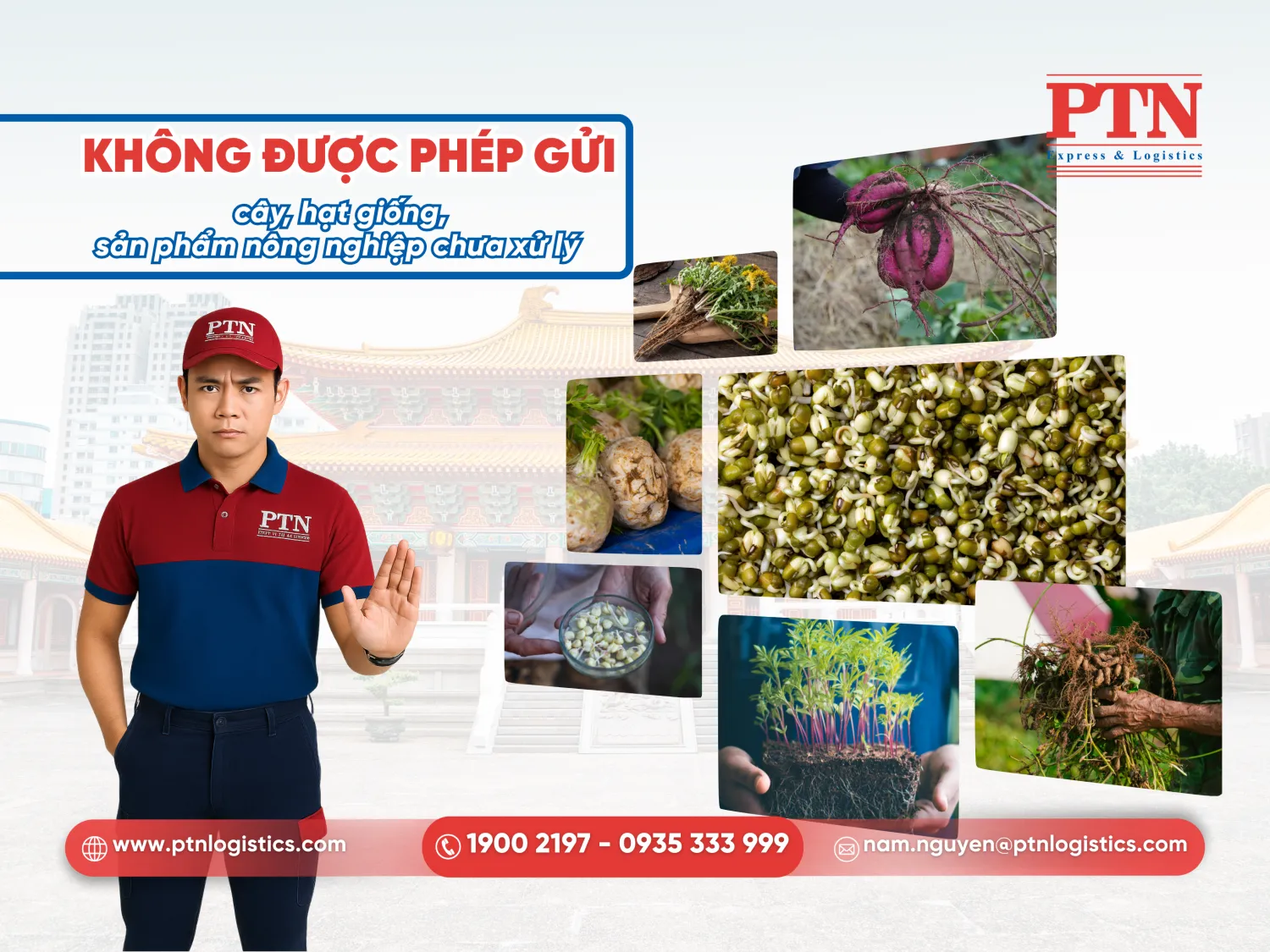 Không được phép gửi cây, hạt giống, sản phẩm nông nghiệp chưa xử lý