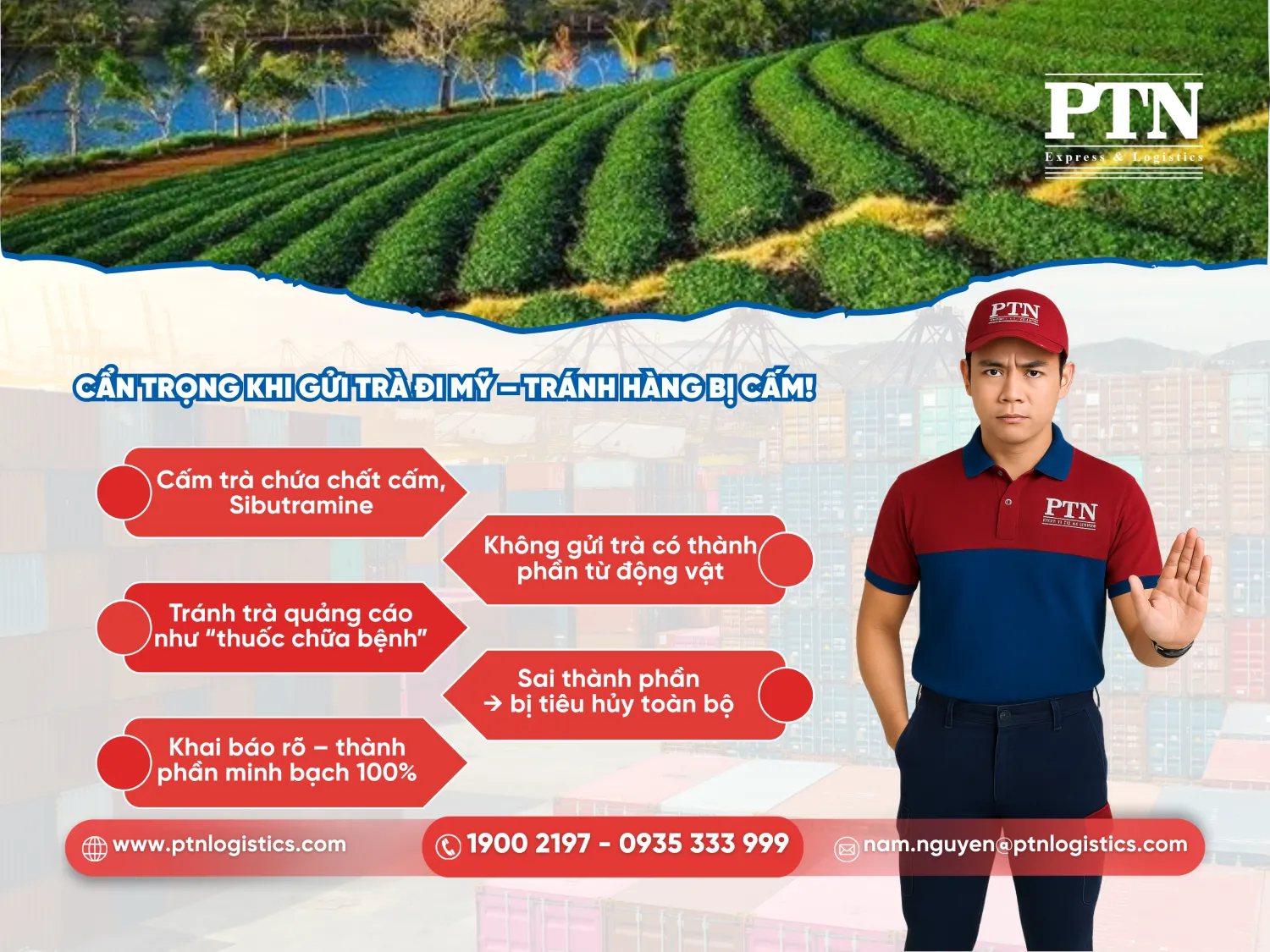 Lưu ý về các loại trà bị cấm