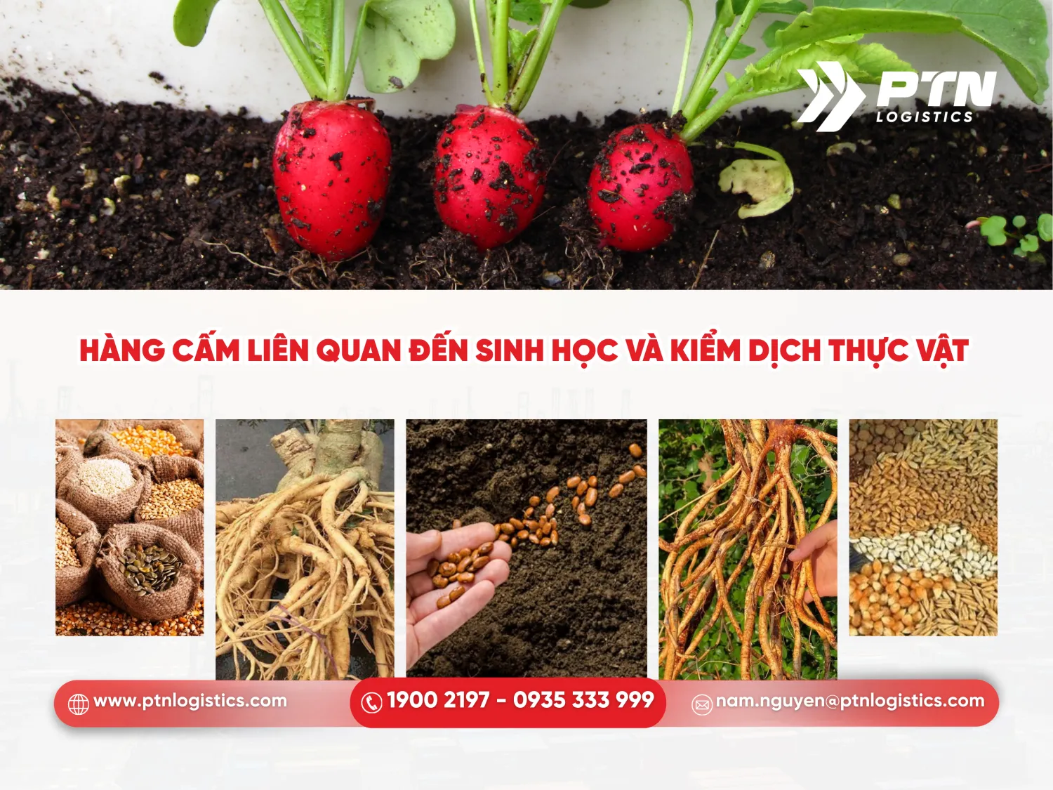 Mặt hàng cấm liên quan đến sinh học và kiểm dịch thực vật
