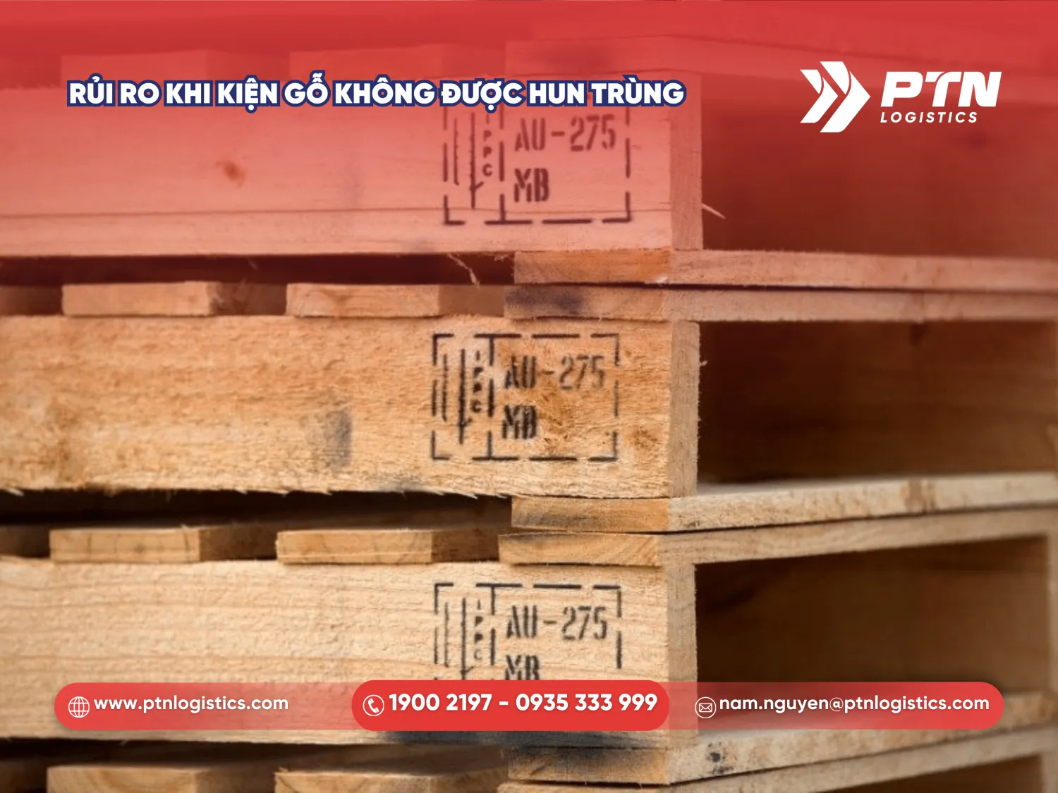 Rủi ro lớn khi kiện gỗ không được hun trùng