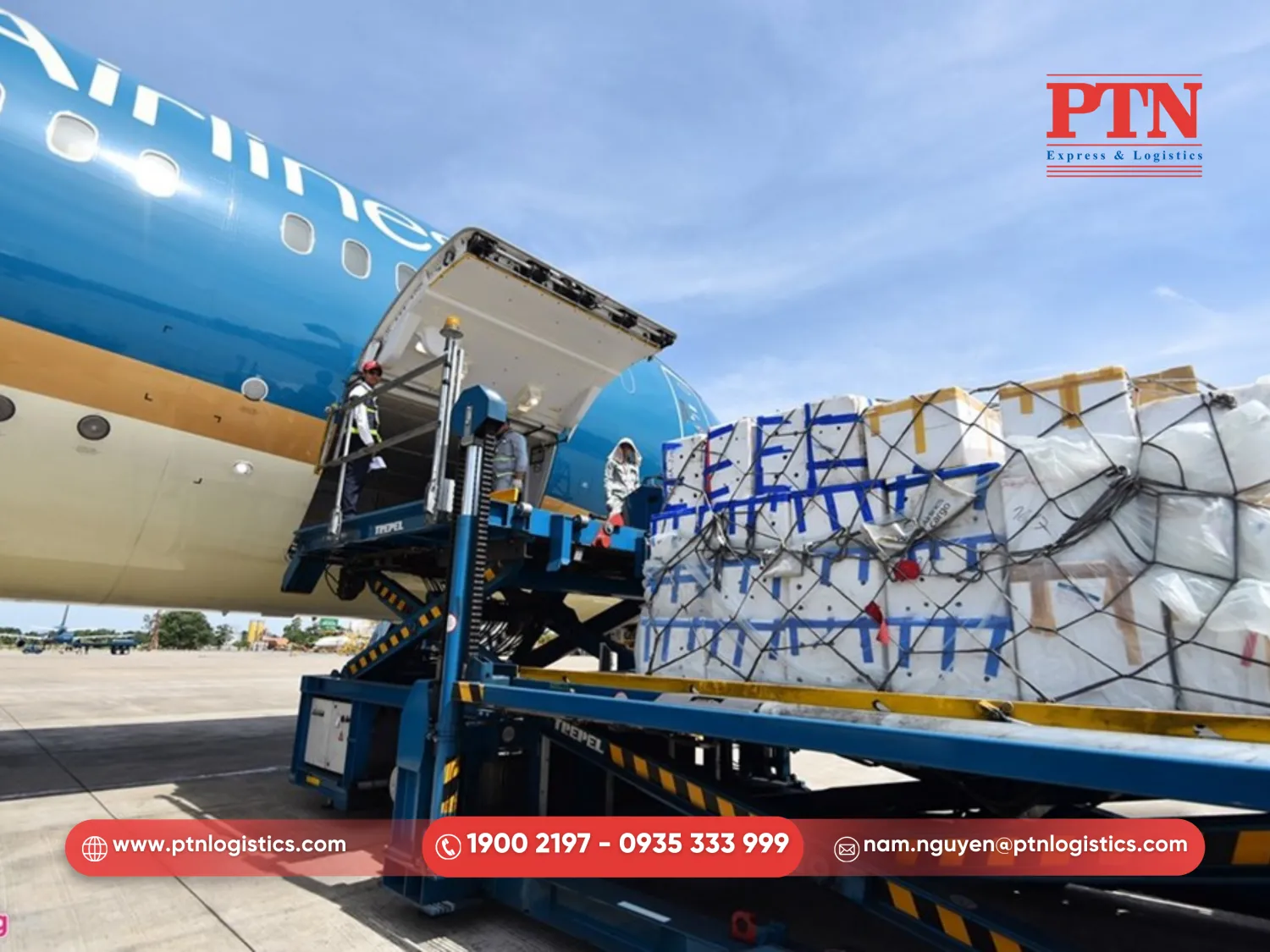 Thông quan và kết nối với hãng bay