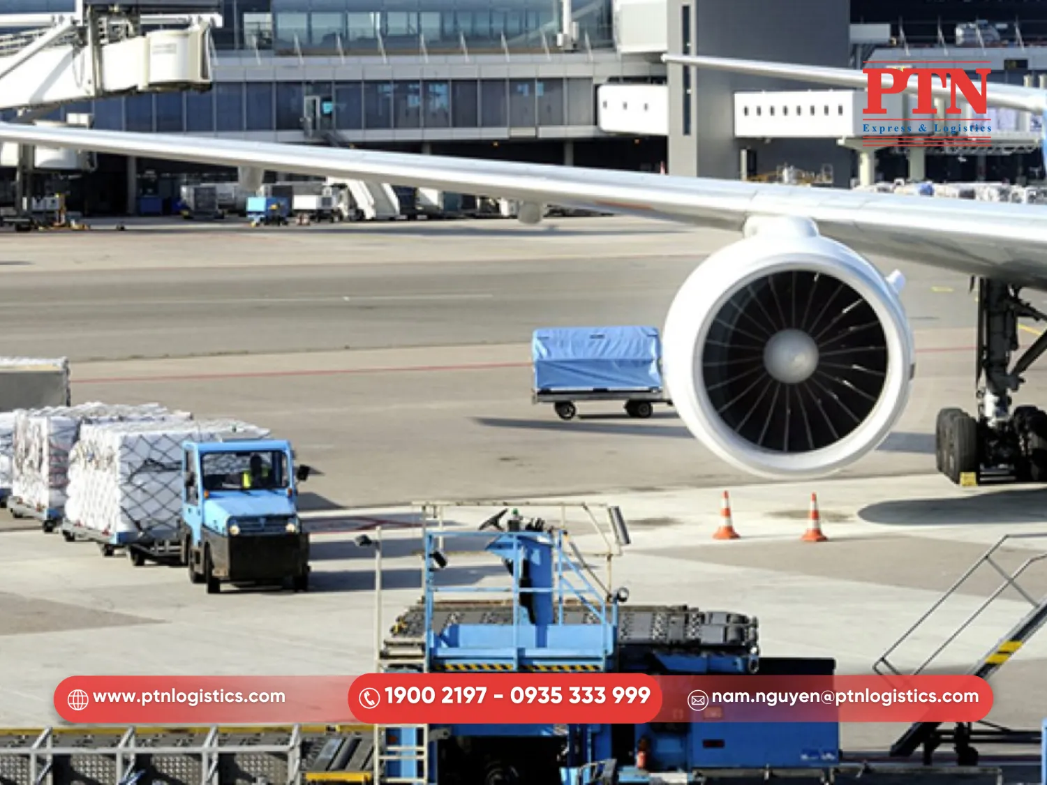 Vận chuyển và thông quan