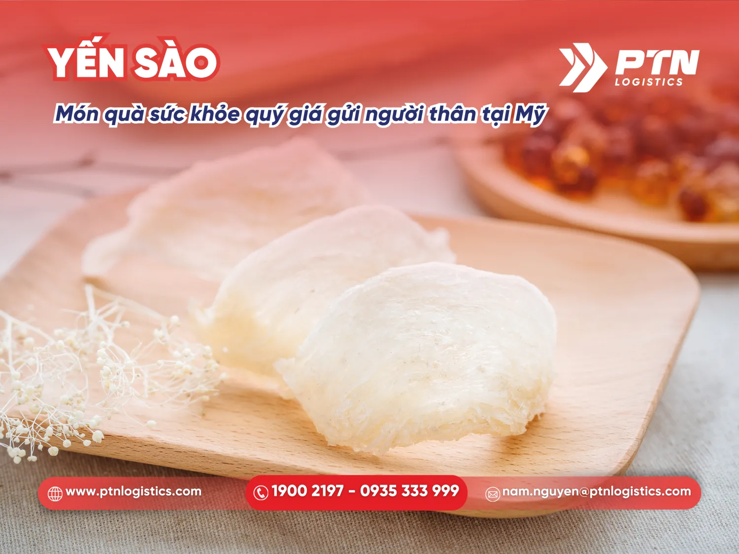 Yến sào là món quà sức khỏe quý giá gửi người thân tại Mỹ