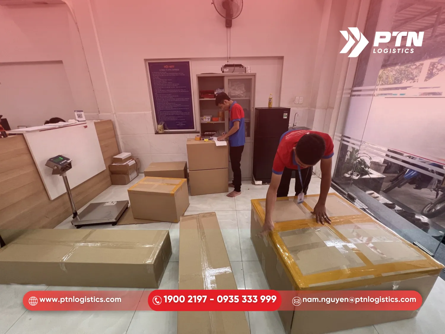 Bước tiến hành phân loại và đóng gói